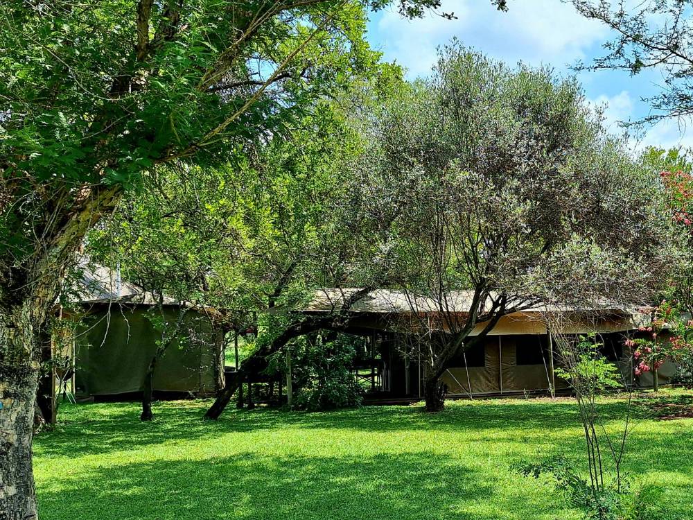 Umbrella Thorn Family Tent Camp